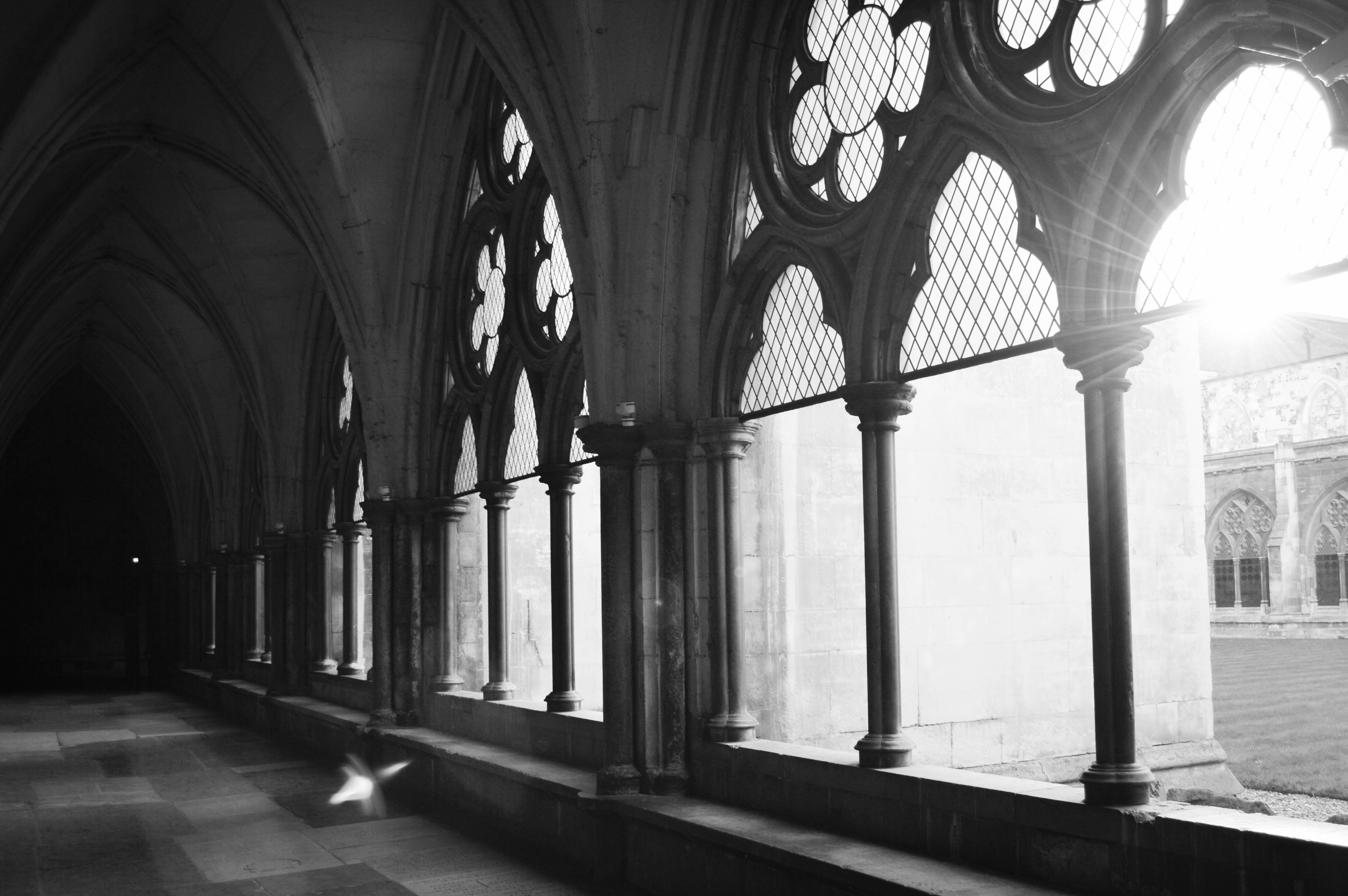 Westminster Cloisters (1 of 1)